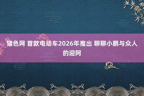 猫色网 首款电动车2026年推出 聊聊小鹏与众人的迎阿
