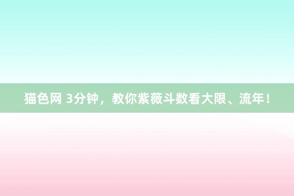猫色网 3分钟，教你紫薇斗数看大限、流年！