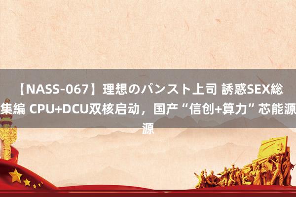 【NASS-067】理想のパンスト上司 誘惑SEX総集編 CPU+DCU双核启动,国产“信创+算力”芯能源