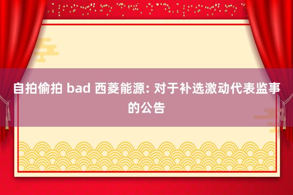 自拍偷拍 bad 西菱能源: 对于补选激动代表监事的公告