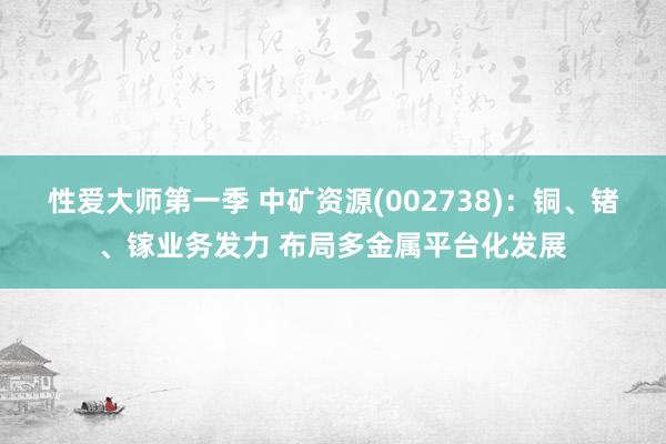 性爱大师第一季 中矿资源(002738):铜、锗、镓业务发力 布局多金属平台化发展
