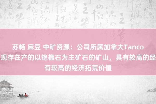 苏畅 麻豆 中矿资源：公司所属加拿大Tanco矿山是宇宙现存在产的以铯榴石为主矿石的矿山，具有较高的经济拓荒价值