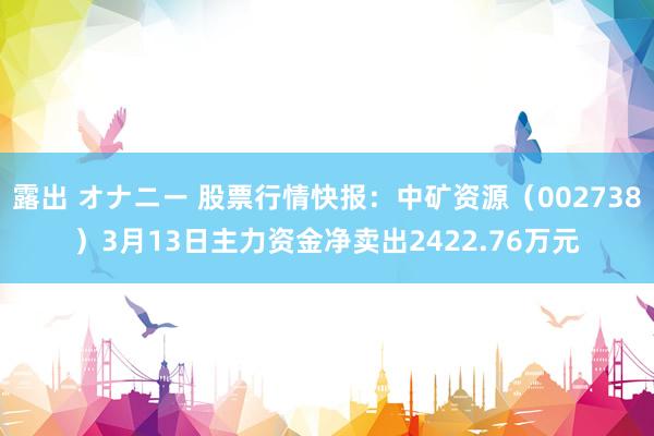 露出 オナニー 股票行情快报：中矿资源（002738）3月13日主力资金净卖出2422.76万元