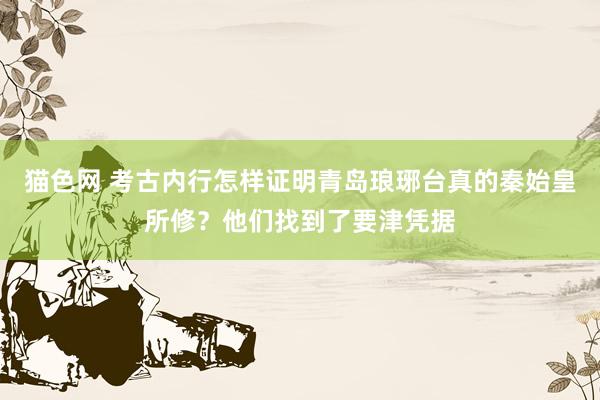 猫色网 考古内行怎样证明青岛琅琊台真的秦始皇所修？他们找到了要津凭据