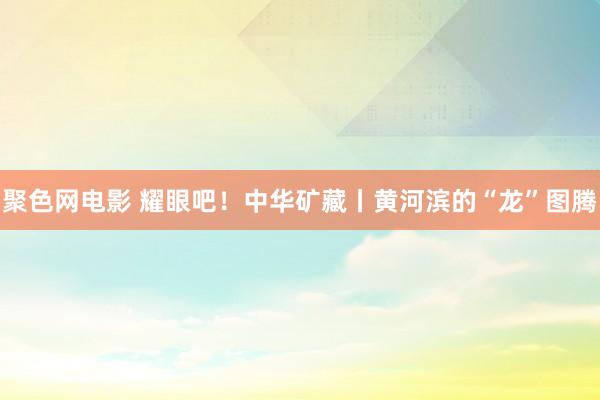 聚色网电影 耀眼吧！中华矿藏丨黄河滨的“龙”图腾