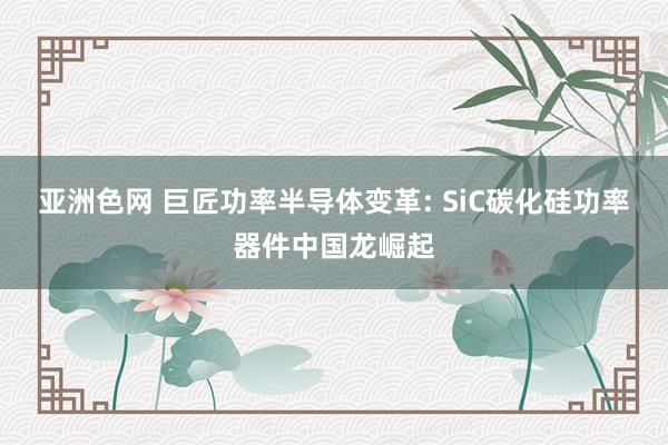 亚洲色网 巨匠功率半导体变革: SiC碳化硅功率器件中国龙崛起
