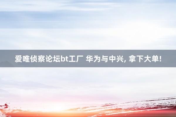 爱唯侦察论坛bt工厂 华为与中兴， 拿下大单!