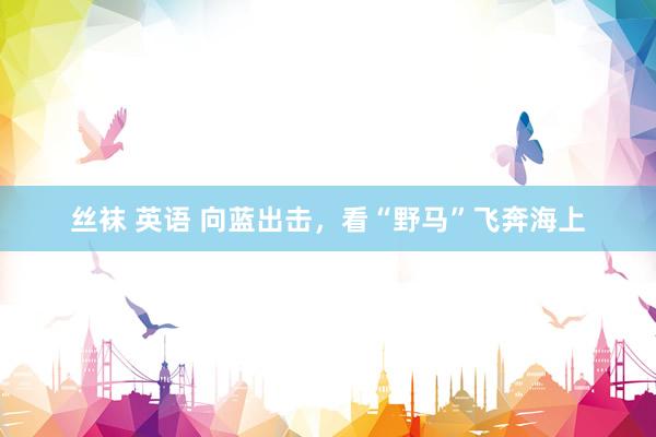 丝袜 英语 向蓝出击，看“野马”飞奔海上