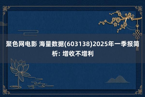 聚色网电影 海量数据(603138)2025年一季报简析: 增收不增利