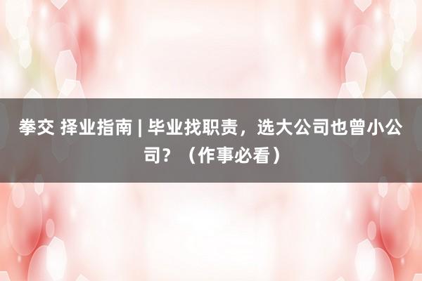 拳交 择业指南 | 毕业找职责，选大公司也曾小公司？（作事必看）