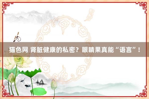 猫色网 肾脏健康的私密？眼睛果真能“语言”！