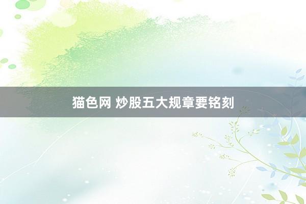 猫色网 炒股五大规章要铭刻