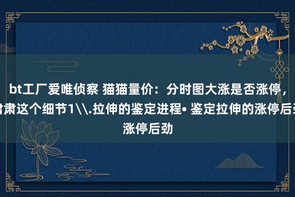 bt工厂爱唯侦察 猫猫量价:分时图大涨是否涨停,肃肃这个细节1\.拉伸的鉴定进程• 鉴定拉伸的涨停后劲