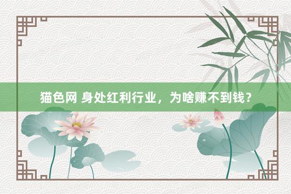 猫色网 身处红利行业，为啥赚不到钱？